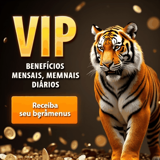 511bet